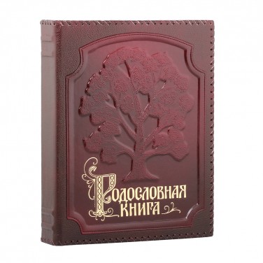 Родословная книга Семейные тайны