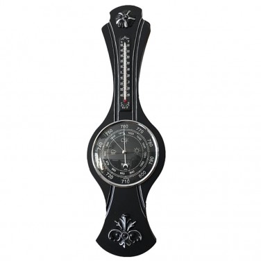 Домашняя метеостанция Серебристый георгин