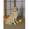 Статуэтка Лабрадор Сема - Фото № 5