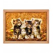 Картина Котята (янтарная крошка)