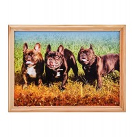 Картина Французские бульдоги (янтарная крошка)