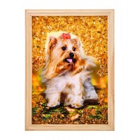 Картина Красавчик Йорк (янтарная крошка)