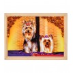 Картина Дуэт йоркширских терьеров (янтарная крошка)