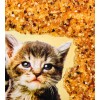 Картина Милые котята (янтарная крошка) - Фото № 2