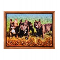 Картина Три бульдога (янтарная крошка)