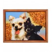 Картина Парочка чихуахуа (янтарная крошка)