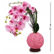 Композиция Розовые орхидеи в вазе с LED-подсветкой