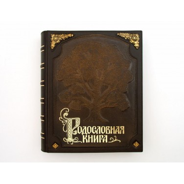 Родословная книга Вечность