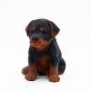 Фигурка Щенок ротвейлера - Фото № 2