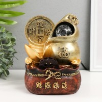 Декоративный фонтан Монета богатства (с подсветкой)