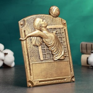 Наградной кубок Лучшая волейболистка