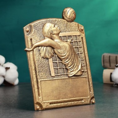 Наградной кубок Лучшая волейболистка