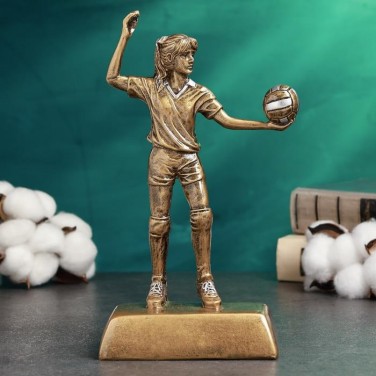 Наградной кубок Женский волейбол