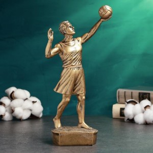 Наградной кубок Мужской волейбол