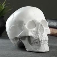 Копилка Древний череп