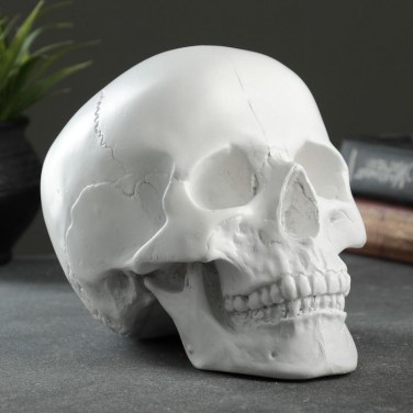 Копилка Древний череп