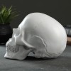 Копилка Древний череп - Фото № 2