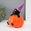 Копилка Котик в тыкве - Фото № 5