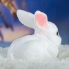Копилка Белый зайчик - Фото № 6