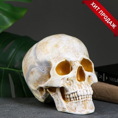 Копилка Йорик