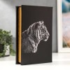 Книга-сейф Жизнь тигра Книга-сейф Жизнь тигра - Фото № 5