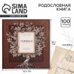 Родословная книга Знатная фамилия (с фоторамкой)