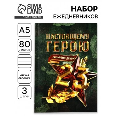 Набор ежедневников Настоящему герою