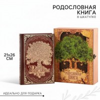 Родословная книга Знатный род (в шкатулке)