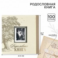 Родословная книга Семейная летопись (с фоторамкой)