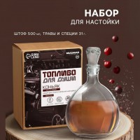 Набор для приготовления настойки Коньяк фруктовый (со штофом)