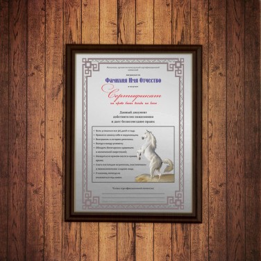 Плакетка Сертификат на право быть всегда на коне
