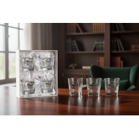 Набор бокалов для виски Врачебный