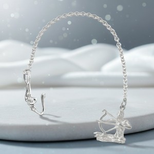 Ионизатор воды Стрелец (серебро)